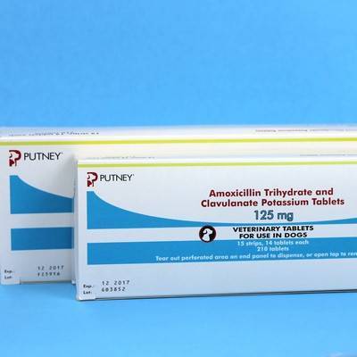 amoxicillin clavulanate amox clav vetrxdirect tablets medications antibiotic