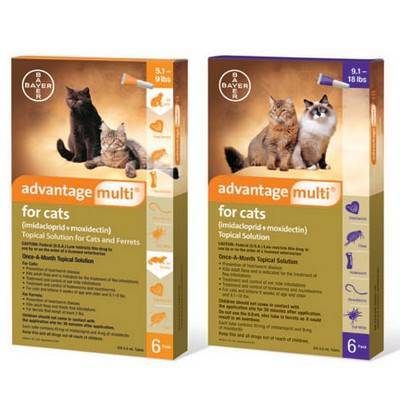 advantage for cats side effects