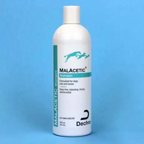 Malacetic Shampoo 16oz for Dogs and Cats with bacterial and/or fungal skin conditions.