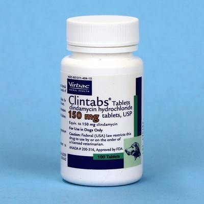 Clindamycin For Dogs