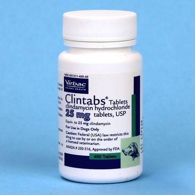 Clindamycin pills dog