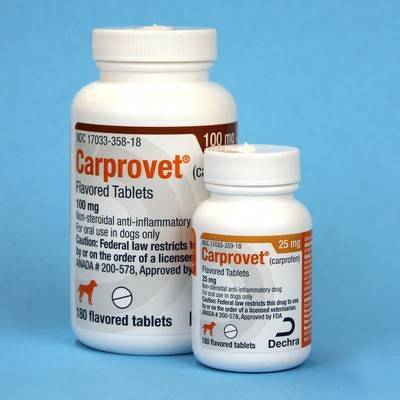carprovet for dogs side effects