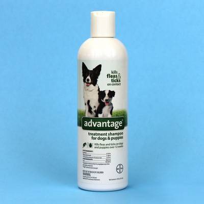 advantage treatment shampoo for cats