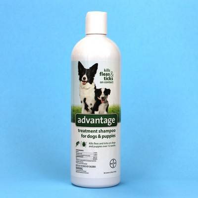 advantage flea and tick shampoo