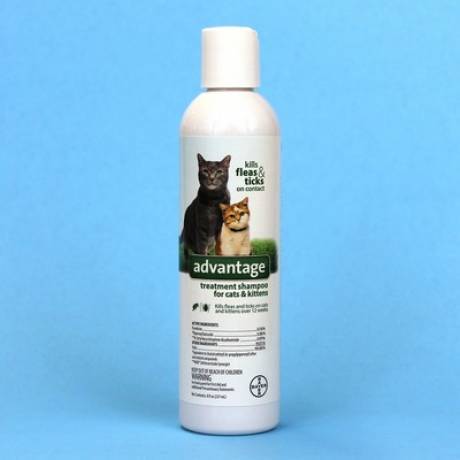 Advantage Flea and Tick Shampoo - for Cats, 8oz