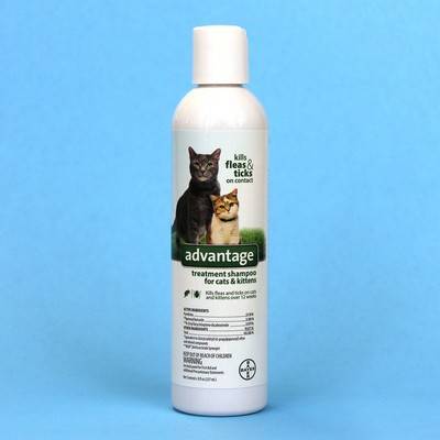 advantage flea and tick shampoo for cats