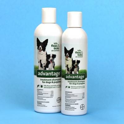 flea and tick bath for cats