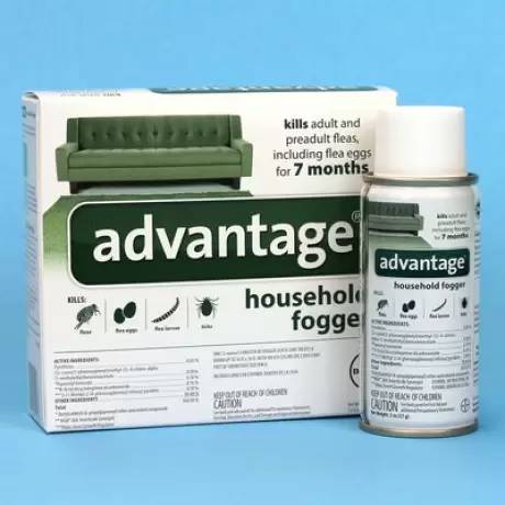 Advantage Household Fogger Kills Fleas