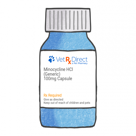 Minocycline HCl (Generic)