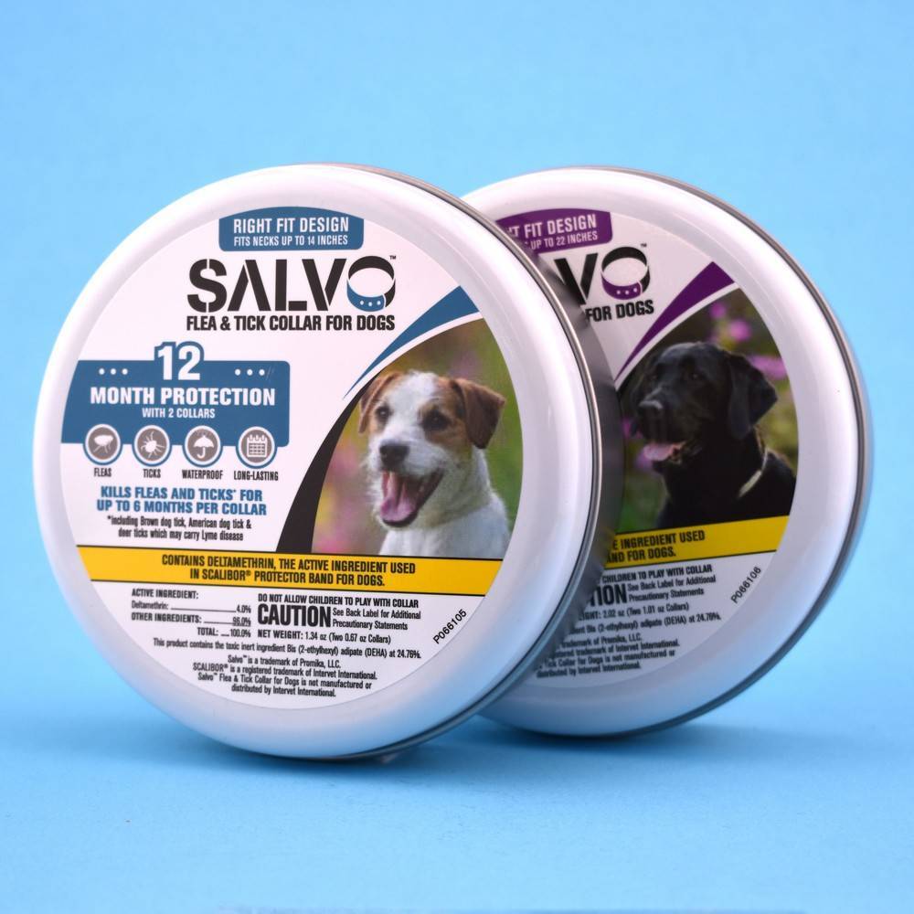 Salvo Flea and Tick Collar for Dogs VetRxDirect Pharmacy