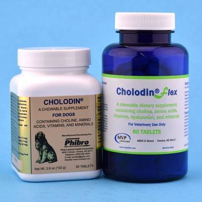choline for dogs