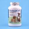 ProtectaCell 90 Chewable Tablets