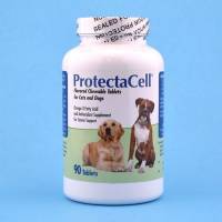 ProtectaCell 90 Chewable Tablets; ?>
