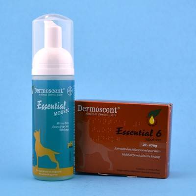 essential 6 spot on for cats