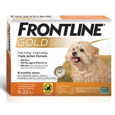 frontline gold