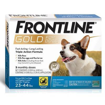 frontline gold flea