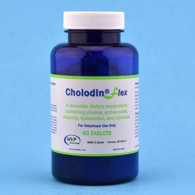 choline dosage for dogs