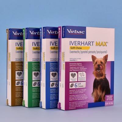 iverhart plus for dogs