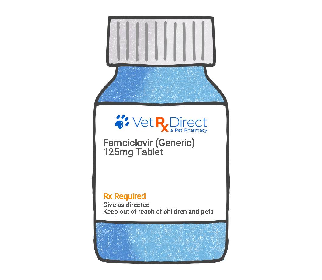 Famciclovir Antiviral for Herpes in Cats VetRxDirect