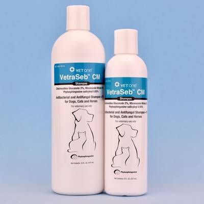chlorhexidine miconazole shampoo dog