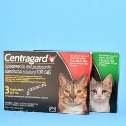 heartworm medicine for cats