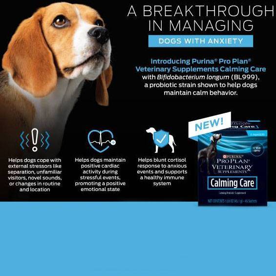 purina calming care study