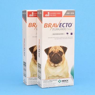 Bravecto Oral Flea And Tick Chew For Dogs Vetrxdirect