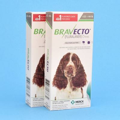 bravecto for dogs 2 pack