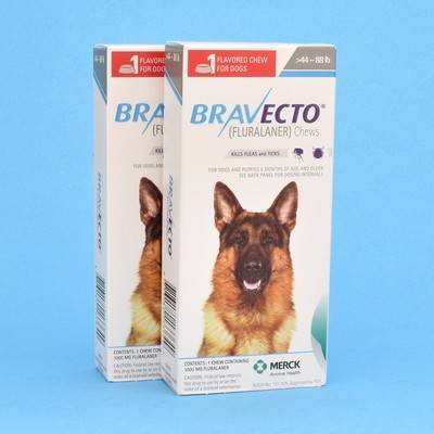 bravecto australian shepherd
