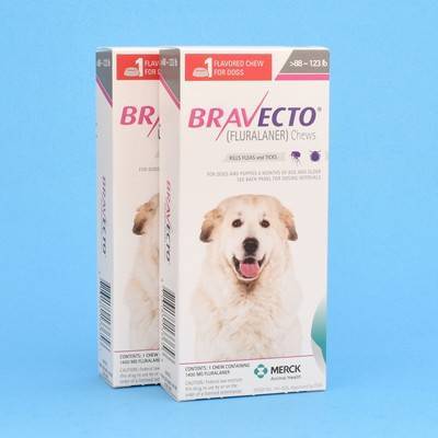 bravecto for dogs 2 pack