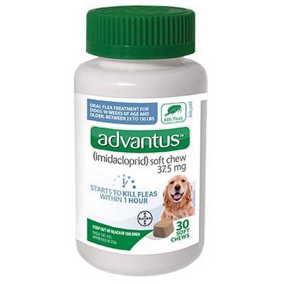 advantus flea soft chews