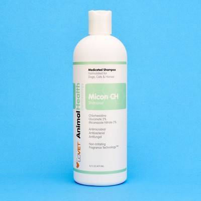 chlorhexidine miconazole shampoo dog