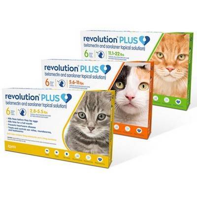 revolution plus cats