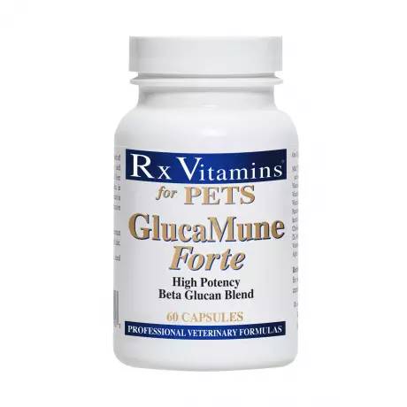 GlucaMune - Forte for Dogs, 60 Capsules