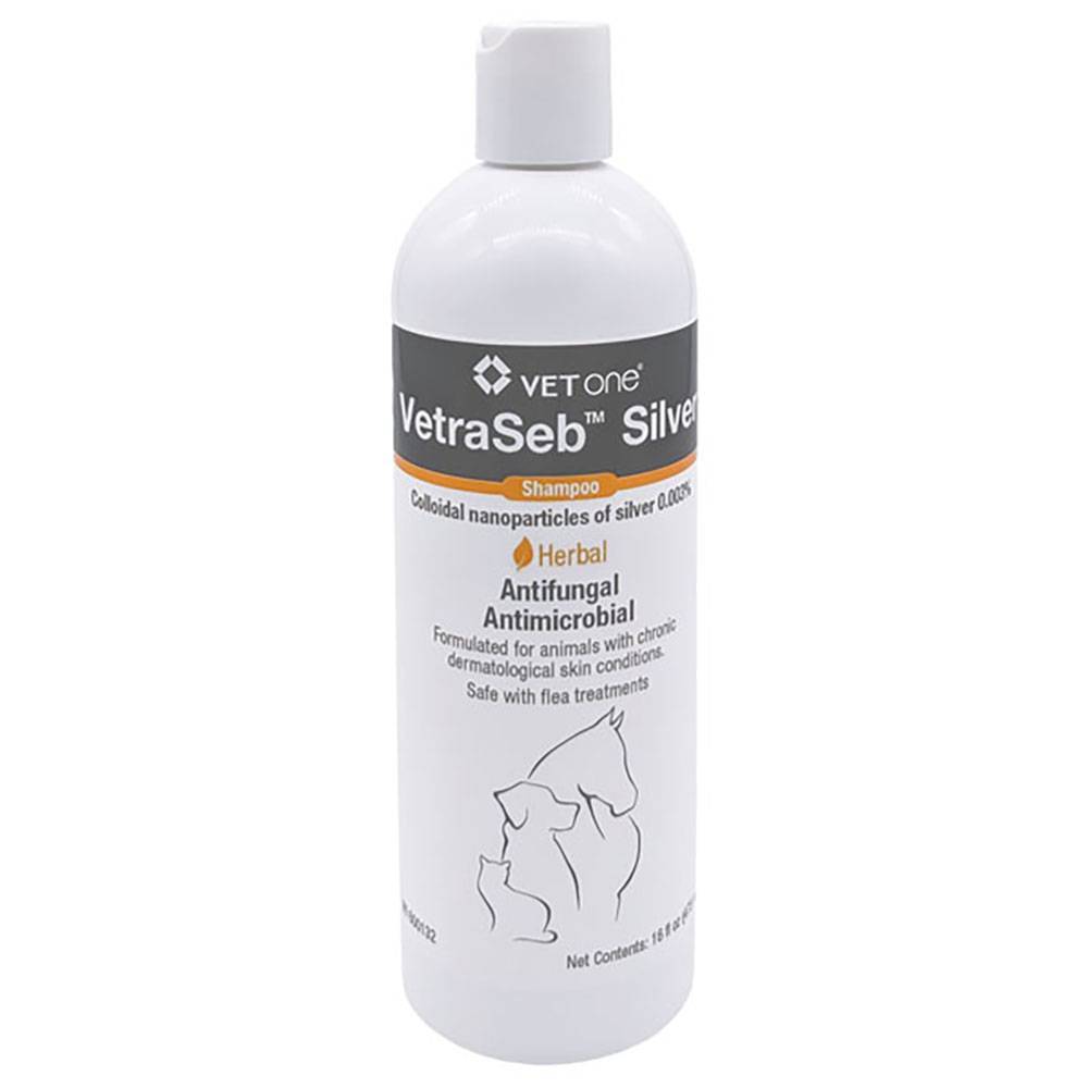 colloidal silver for cats uti