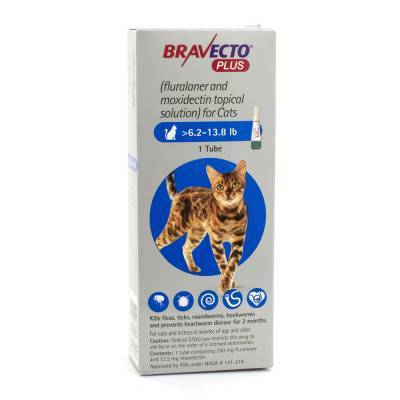 Bravecto Plus Topical Solution for Cats 6.2-13.8 lb, 1 Tube