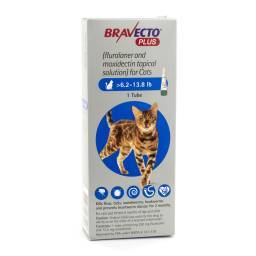 Bravecto Plus Topical Solution for Cats; ?>