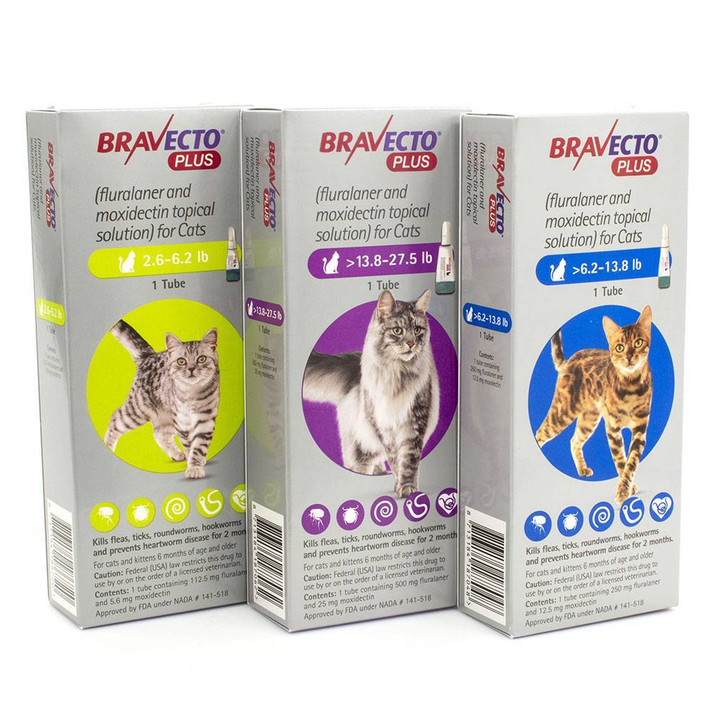 Bravecto Plus Topical Solution For Cats Fleas Ticks And