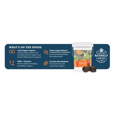 synovi g4 soft chews for dogs