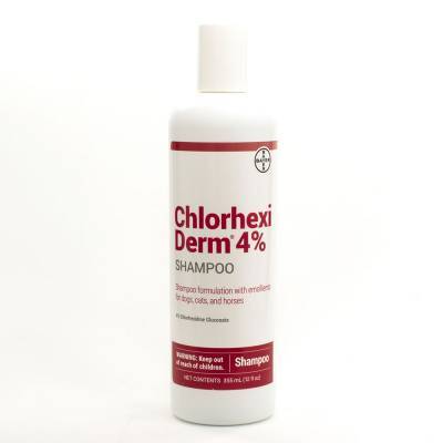 chlorhexiderm shampoo for dogs