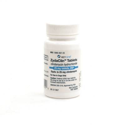 ZydaClin Tablets for Dogs - Clindamycin Tablets | VetRxDirect