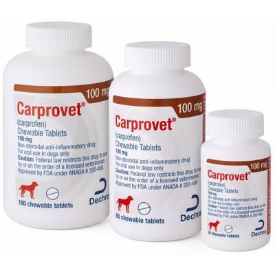 carprovet for dogs side effects