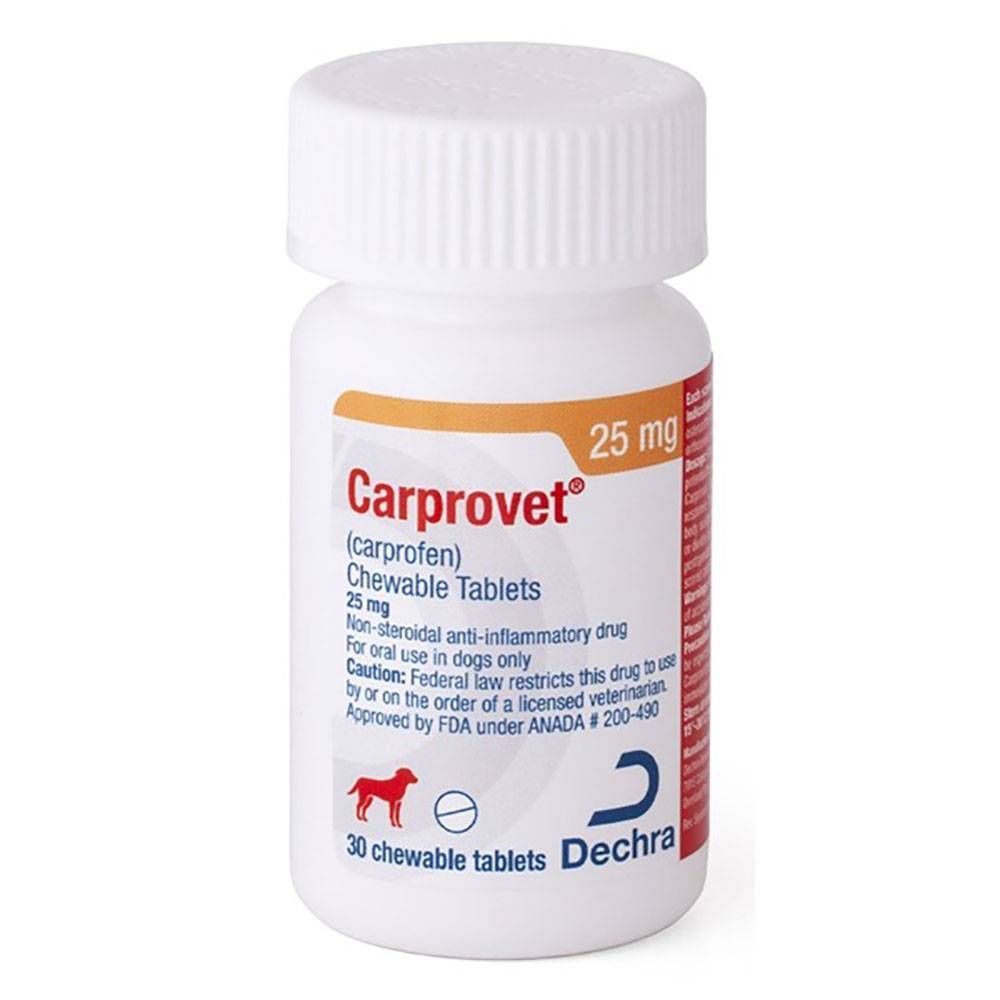 Carprovet Chewable Tablets for Dogs Generic Carprofen VetRxDirect