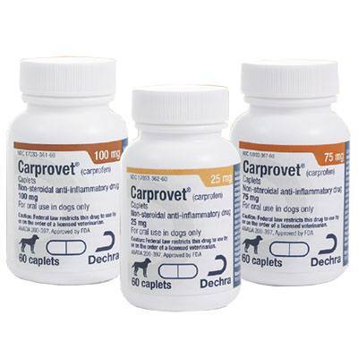 carprofen caplets 100 mg for dogs