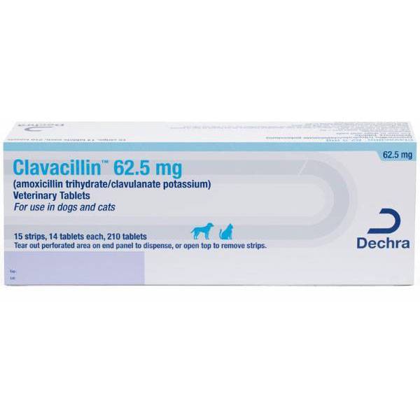 Amoxicillin Clavulanate Antibiotic Tablets for Dogs VetRxDirect