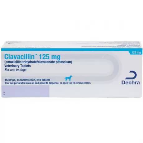 Clavacillin for Dogs and Cats (amoxicillin clavulanate) - 125mg Tablet