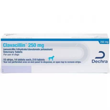 Clavacillin for Dogs and Cats (amoxicillin clavulanate) - 250mg Tablet