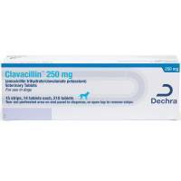 Clavacillin (amoxicillin clavulanate) 250mg Tablet; ?>
