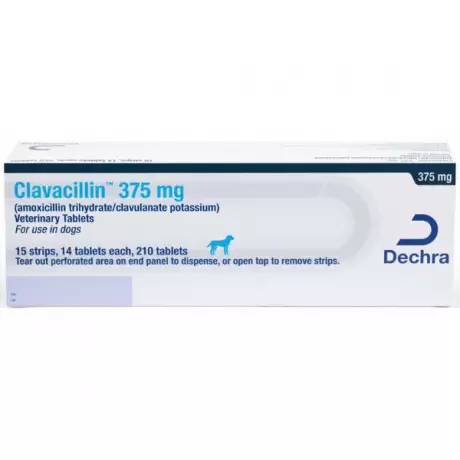 Clavacillin for Dogs and Cats (amoxicillin clavulanate) - 375mg Tablet