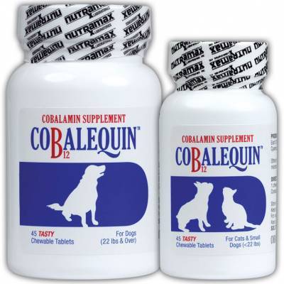 dog b12 supplement